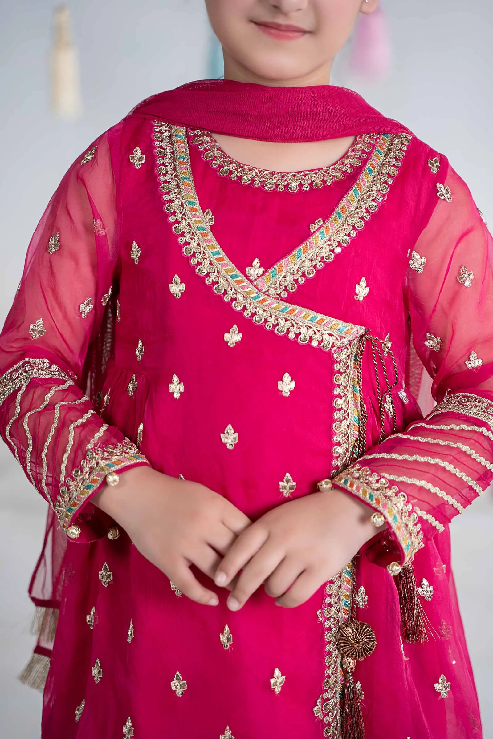 3 Piece Embroidered Organza Suit | MKS-EA24-15