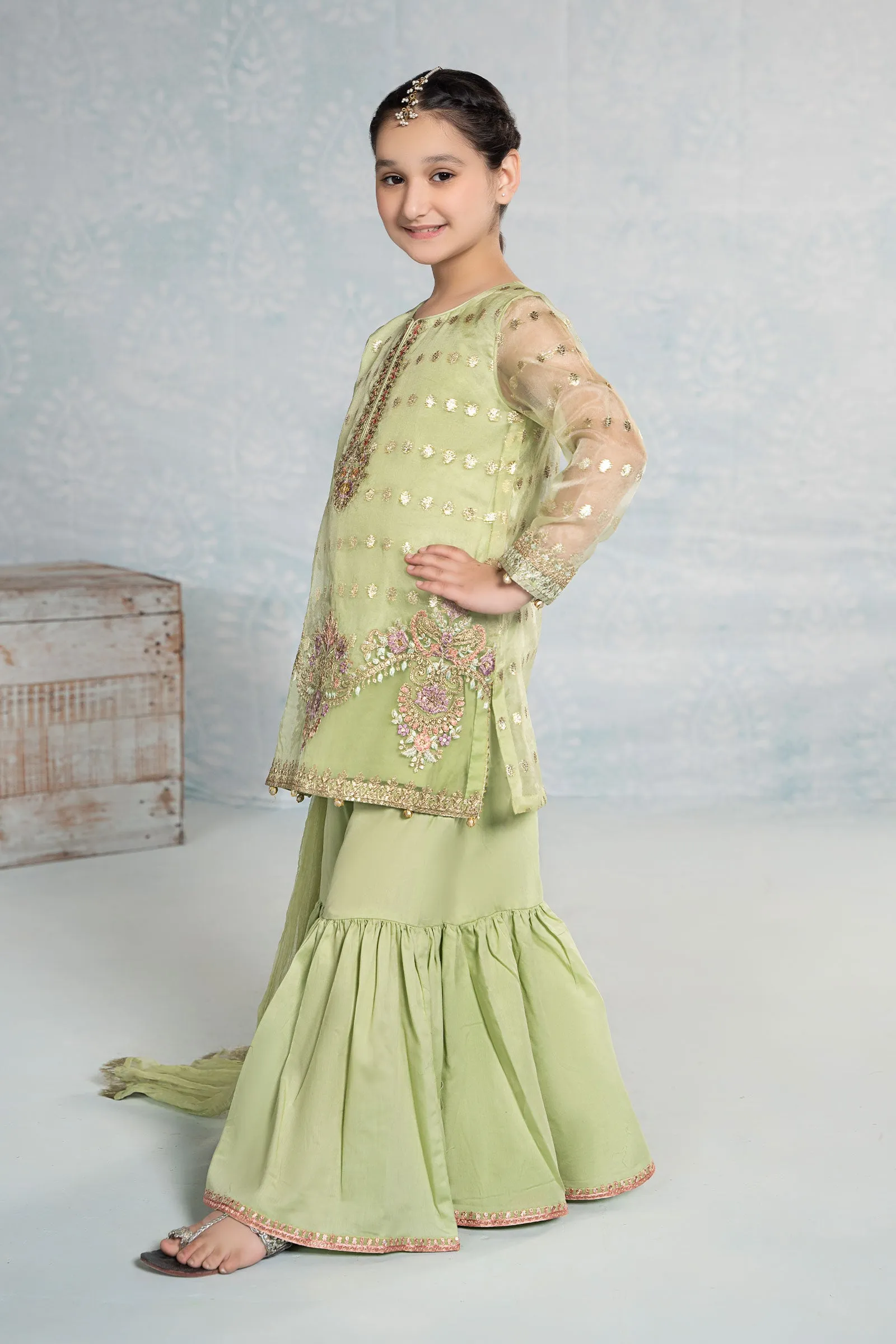 3 Piece Embroidered Organza Suit | MKS-EF24-45