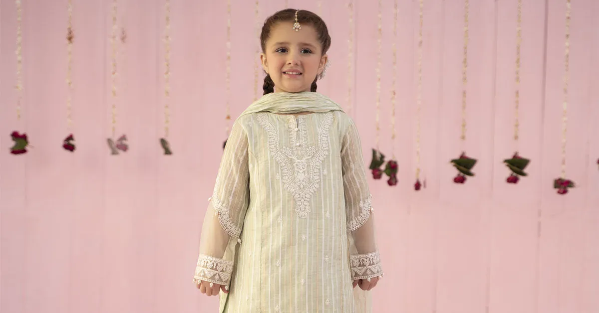 3 Piece Embroidered Stripe Cotton Suit | MKD-EF24-27