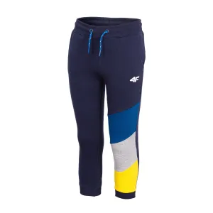 4F Color Panel Leg Navy Blue Fleece Trouser 1069